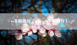 6s手机图片（iphone6s手机图片）