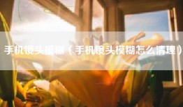 手机镜头模糊（手机镜头模糊怎么清理）