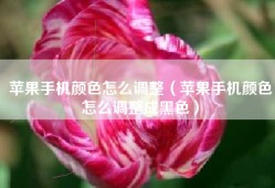 苹果手机颜色怎么调整（苹果手机颜色怎么调整成黑色）