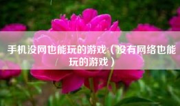 手机没网也能玩的游戏（没有网络也能玩的游戏）