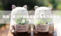 青海：聚力外贸高质量发展全力冲刺首季“开门红”