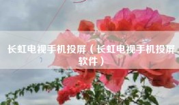 长虹电视手机投屏（长虹电视手机投屏软件）