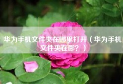 华为手机文件夹在哪里打开（华为手机文件夹在哪？）