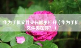 华为手机文件夹在哪里打开（华为手机文件夹在哪？）