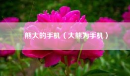 熊大的手机（大熊为手机）