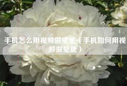 手机怎么用视频做壁纸（手机如何用视频做壁纸）
