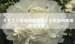 手机怎么用视频做壁纸（手机如何用视频做壁纸）