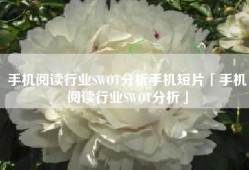 手机阅读行业SWOT分析手机短片「手机阅读行业SWOT分析」