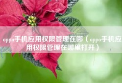 oppo手机应用权限管理在哪（oppo手机应用权限管理在哪里打开）