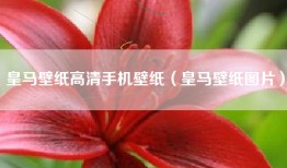 皇马壁纸高清手机壁纸（皇马壁纸图片）