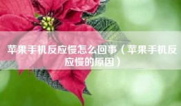 苹果手机反应慢怎么回事（苹果手机反应慢的原因）