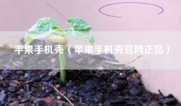 平果手机壳（苹果手机壳官网正品）