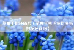 苹果手机还原后（苹果手机还原后分析数据还在吗）