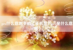 pro什么意思手机（手机说的pro是什么意思）