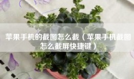 苹果手机的截图怎么截（苹果手机截图怎么截屏快捷键）