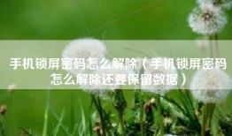 手机锁屏密码怎么解除（手机锁屏密码怎么解除还要保留数据）