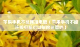 苹果手机不能连接电脑（苹果手机不能连接电脑可以解除监管吗）