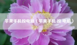 苹果手机投电脑（苹果手机 投 电脑）