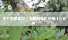 手机镜像功能（手机镜像功能是什么意思）