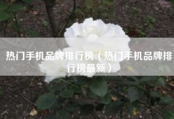 热门手机品牌排行榜（热门手机品牌排行榜最新）