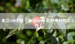金立f100手机（金立f100手机开不开机怎么办）