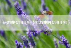 玩游戏专用手机（打游戏的专用手机）