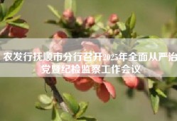 农发行抚顺市分行召开2025年全面从严治党暨纪检监察工作会议
