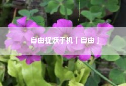 自由捉妖手机「自由」