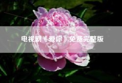 电视剧《爱你》免费完整版