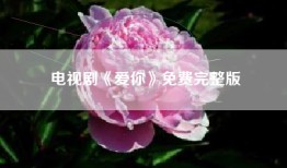 电视剧《爱你》免费完整版
