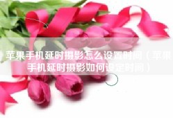 苹果手机延时摄影怎么设置时间（苹果手机延时摄影如何设定时间）