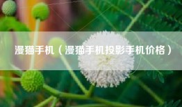 漫猫手机（漫猫手机投影手机价格）