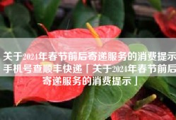 关于2024年春节前后寄递服务的消费提示手机号查顺丰快递「关于2024年春节前后寄递服务的消费提示」