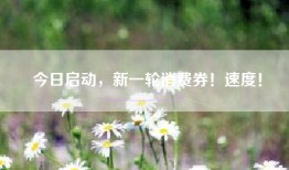 今日启动，新一轮消费券！速度！