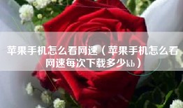 苹果手机怎么看网速（苹果手机怎么看网速每次下载多少kb）