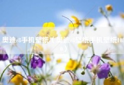 奥迪r8手机壁纸（奥迪r8壁纸手机壁纸1080）