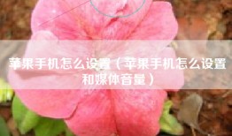 苹果手机怎么设置（苹果手机怎么设置和媒体音量）