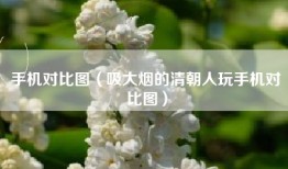 手机对比图（吸大烟的清朝人玩手机对比图）