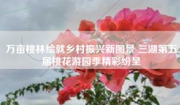 万亩桃林绘就乡村振兴新图景 三湖第五届桃花游园季精彩纷呈