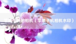 苹果手机的相机（苹果手机相机水印）