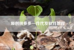 原创拼多多一件代发软件教程