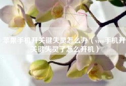苹果手机开关键失灵怎么办（vivo手机开关键失灵了怎么开机）