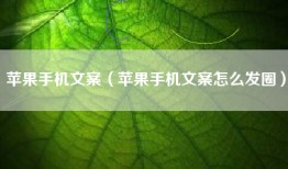 苹果手机文案（苹果手机文案怎么发圈）