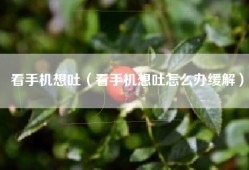看手机想吐（看手机想吐怎么办缓解）