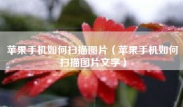 苹果手机如何扫描图片（苹果手机如何扫描图片文字）