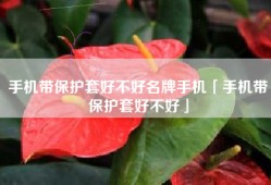 手机带保护套好不好名牌手机「手机带保护套好不好」