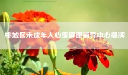 桃城区未成年人心理健康辅导中心揭牌