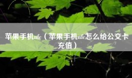 苹果手机nfc（苹果手机nfc怎么给公交卡充值）