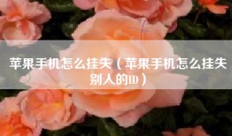 苹果手机怎么挂失（苹果手机怎么挂失别人的ID）