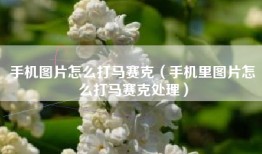 手机图片怎么打马赛克（手机里图片怎么打马赛克处理）